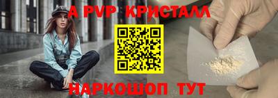 индика Славгород