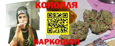 индика Славгород