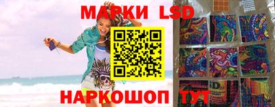 индика Славгород