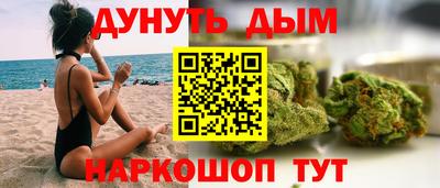 индика Славгород