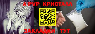индика Славгород