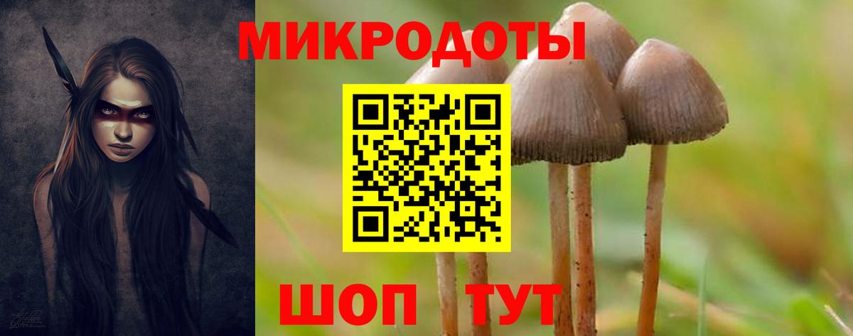 Псилоцибиновые грибы Psilocybe Острогожск